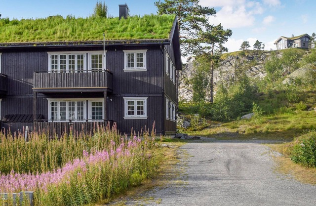 3 bedroom amazing apartment in Rjukan