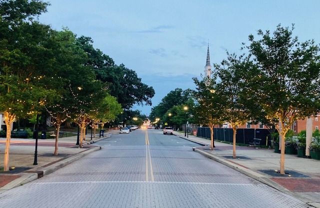 3 Blocks to Downtown Cary Park, Library, Breweries! Bright Modern Clean Home!