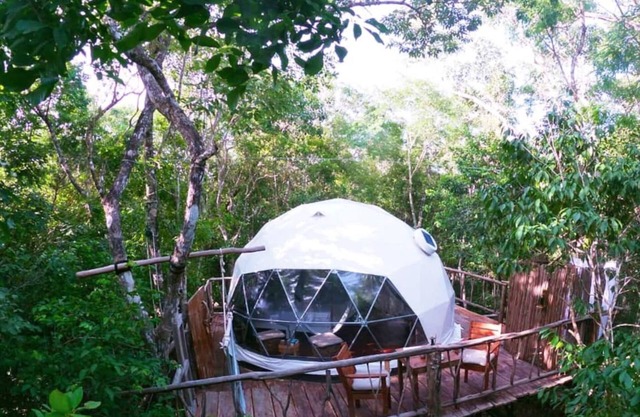 3 min walk to cenotes - Jungle Treehouse Experience -jungle glamping adventure