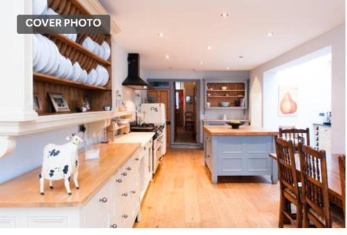 3 Plasturton Gardens