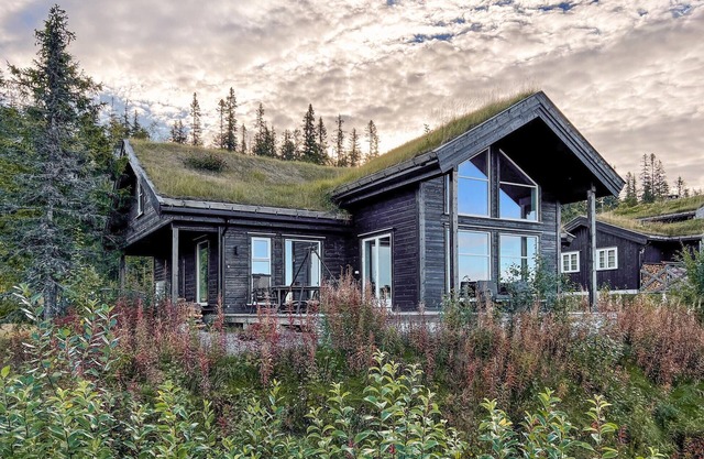 4 bedroom accommodation in Eggedal
