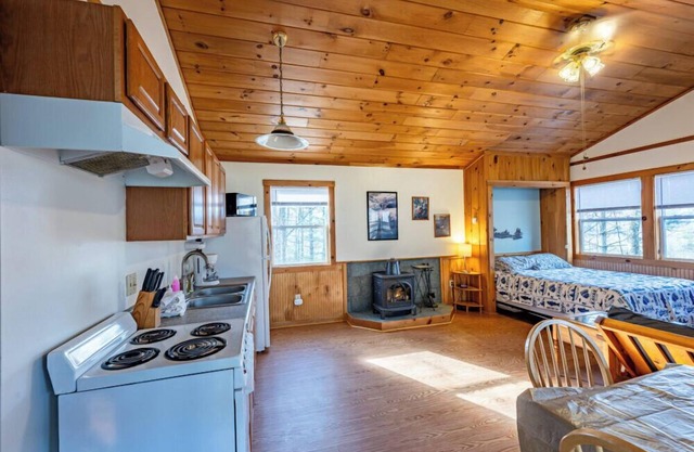 4 Gone Paddling -Studio