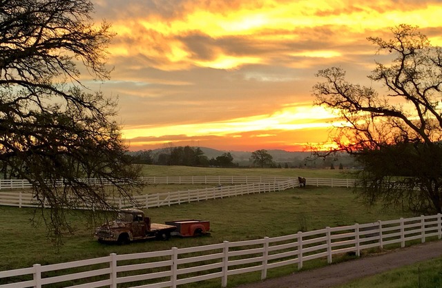 46W/Winery close, Bocce! Perfect for 1 couple, multi-adult, family! Dog Friendly