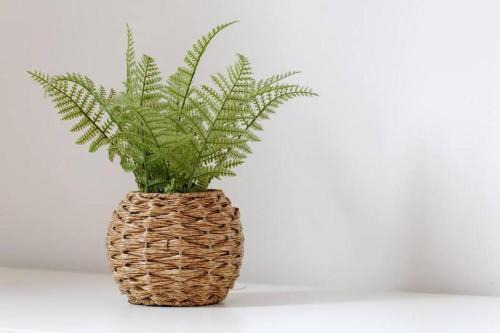 4BR House in Warrington with Garden