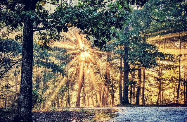 5G WiFi 4Season NC Foothills Cabin on 7 Acres, Facing South Mountain State Park