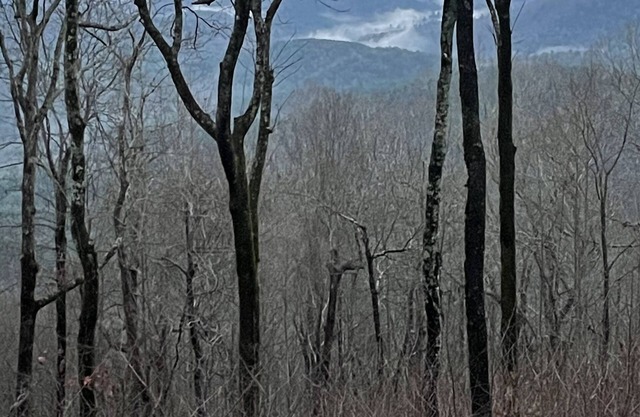 600-Cozy RV in Awesome Marietta with WiFi, AC