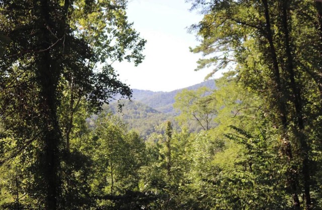 9 Bear Den -2 Bedroom