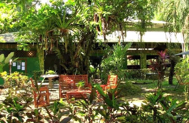 A 4-acre, family and group friendly retreat venue in the heart of Puerto Jimenez