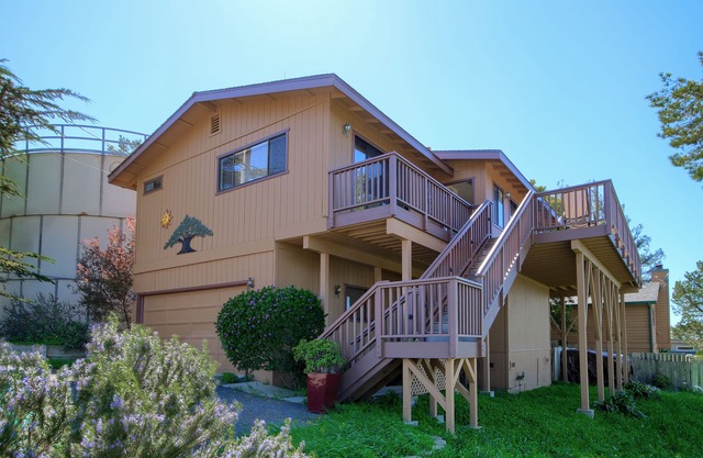 A Beautiful Tree Top Panorama