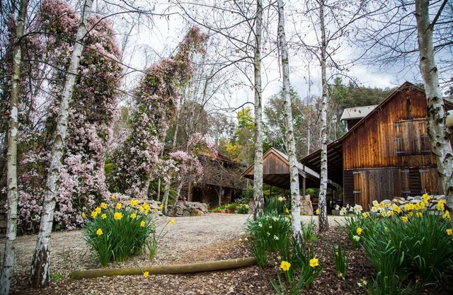 A bespoke romantic retreat in the heart of the high country, breakfast included.