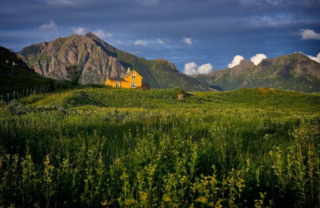 A Boutique Hotel Room for the Modern Traveler in Mountain View