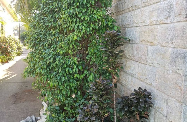 A Country View Motel - Ilbilbie