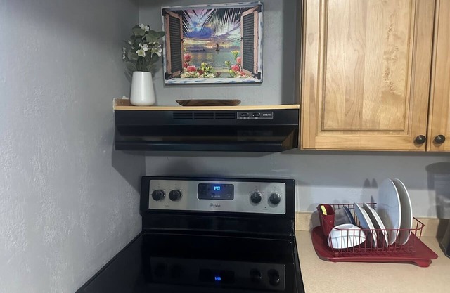 A newly executive basement apt