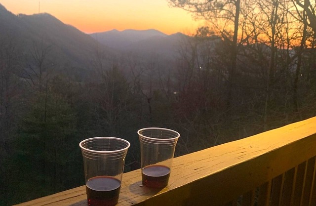 A Perfect View! Dog Friendly Cabin at The Top of The Mountain!