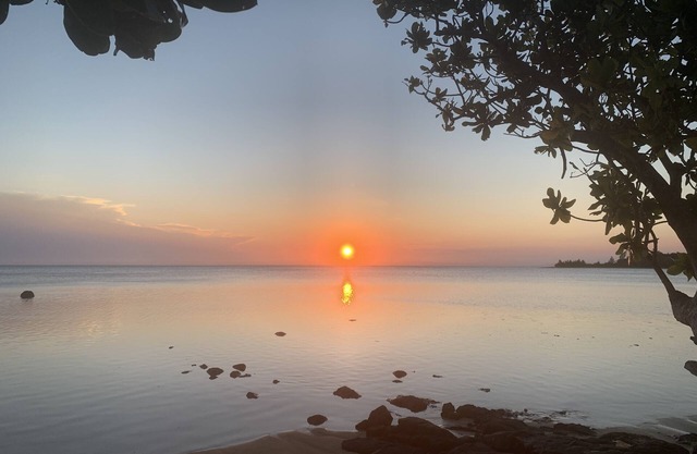 A pretty hut on the edge of a lagoon
