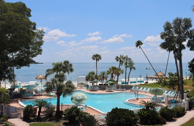 A Slice of Paradise | Relax, Play, & Indulge in Unique St Pete Experience!