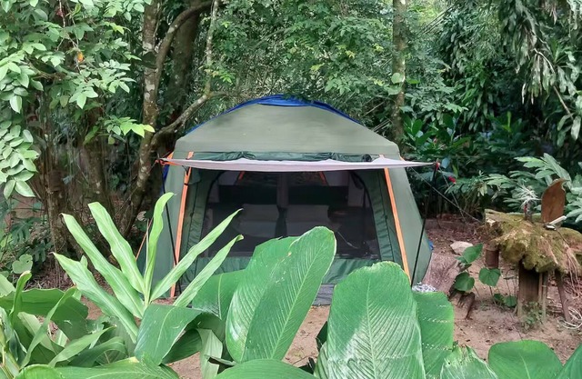 A unique immersion in Nature!