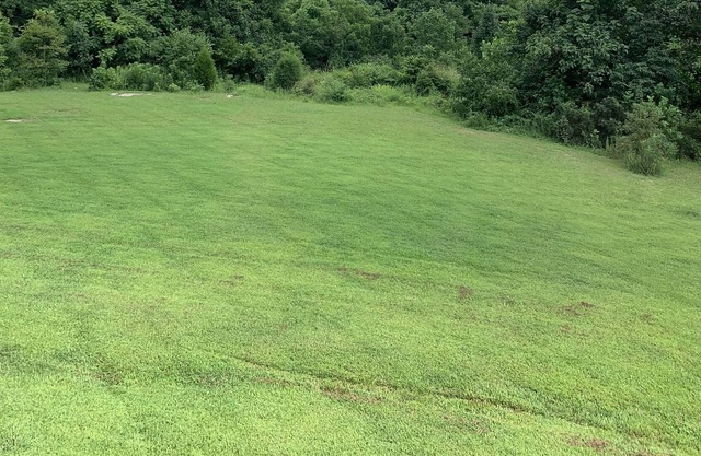 A Walk in the Clouds