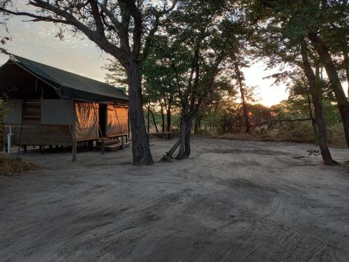 Acacia Camp
