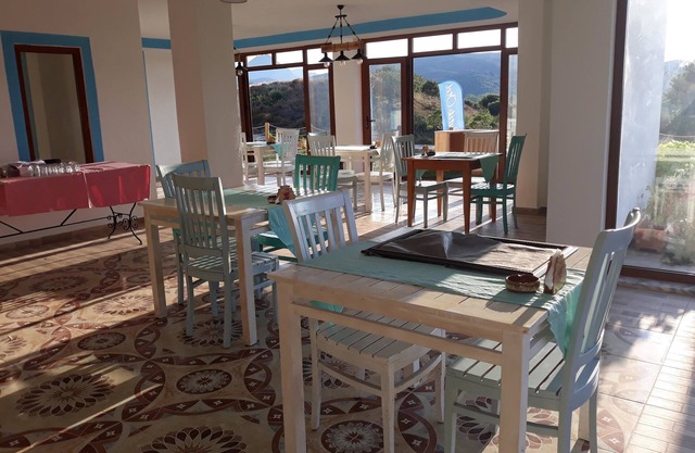 ADA KEKİĞİ PANSİYON