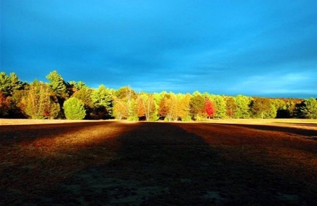 Adirondack lakehouse w/80' beach on Great Sacandaga Lake