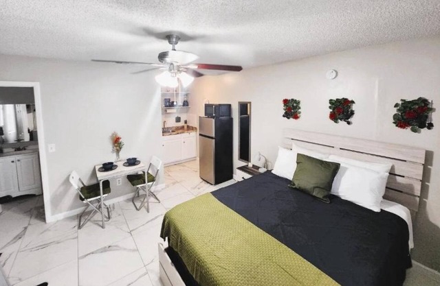 Adorable Mini Suite in Tampa