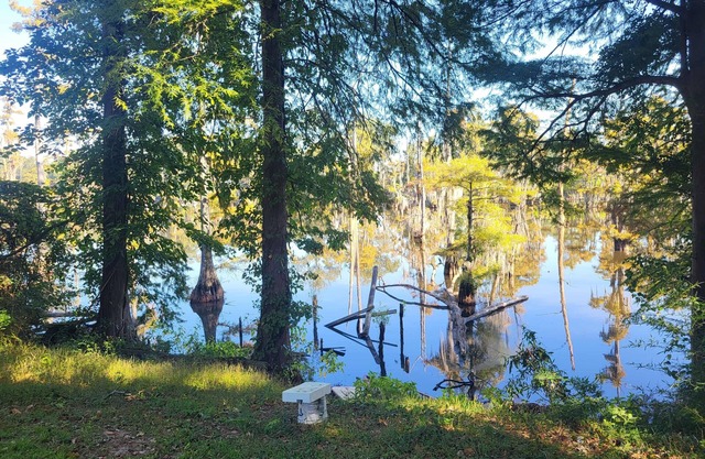 Affordable 7-bedroom house on the bayou in Monroe