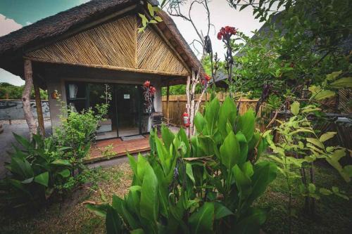 African Excursions Guest lodge