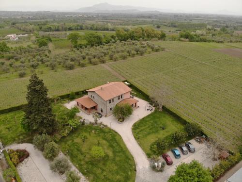 Agrituirsmo Masseria Campierti