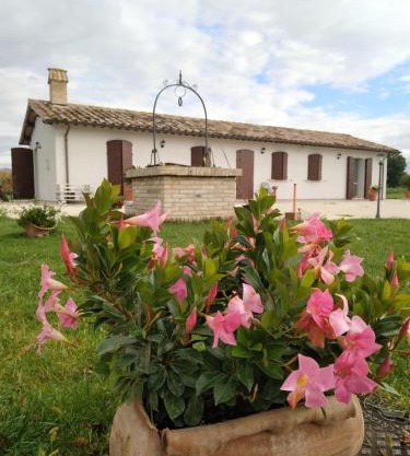 AGRITURISMO " LE SERRE"