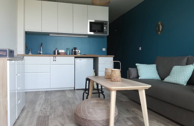 Air-conditioned apartment of 27 m2 renovated in front of the sea with terrace of 15m2