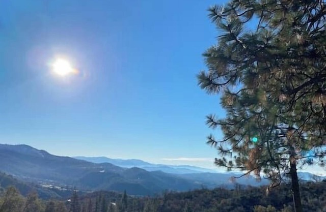 Airstream - 15 Minutes to Kings Canyon