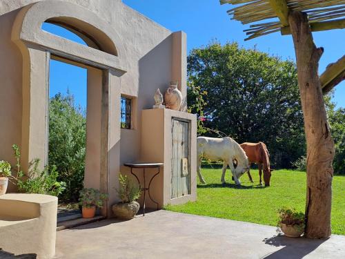 Akasha Mountain Retreat, new location