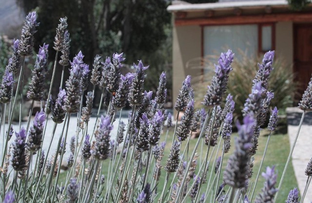 Al Sereno Hotel y Spa