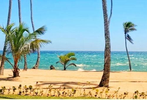 Albatros club resort