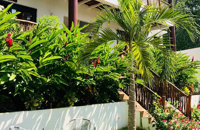 Alfa Resort Troncones