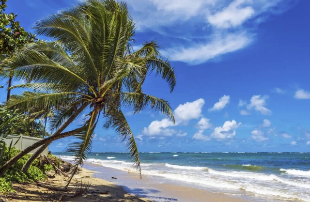 Aloha House - w/boogie board, snorkel gear!