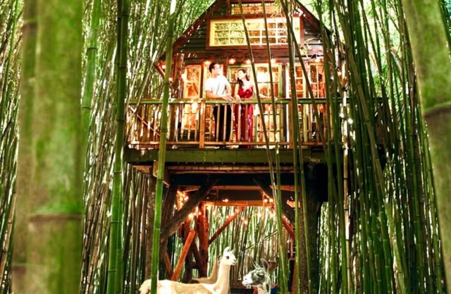 Alpaca Treehouse in the Bamboo Forest