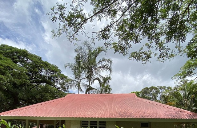 Alpinia bungalow in Sarramea