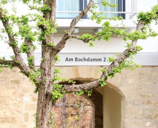 Alte Stadtmauer - Apartment