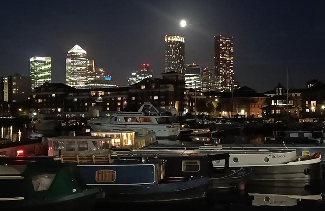 ALTIDO House Boat in Limehouse Marina