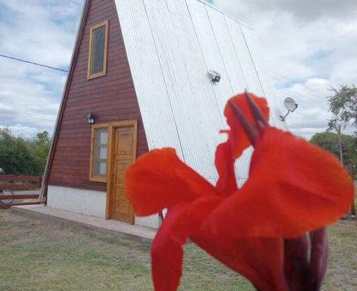 Amancay Cabaña alpina en Valle Fértil