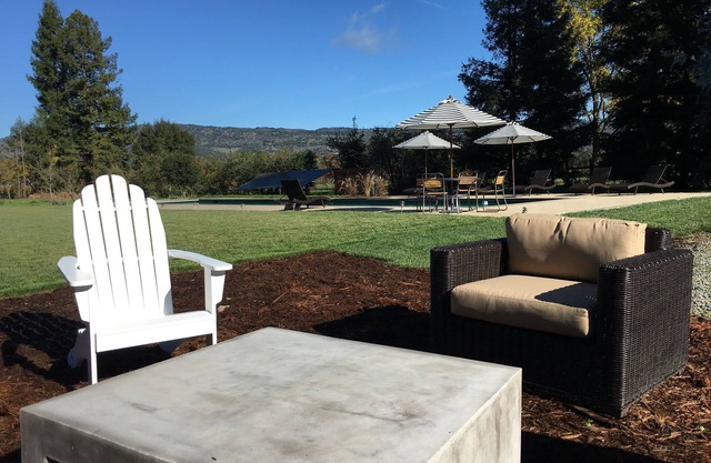 Amazing 3 Acre Vineyard Retreat, 3 Bedrooms, Large Lap Pool with vineyard views.