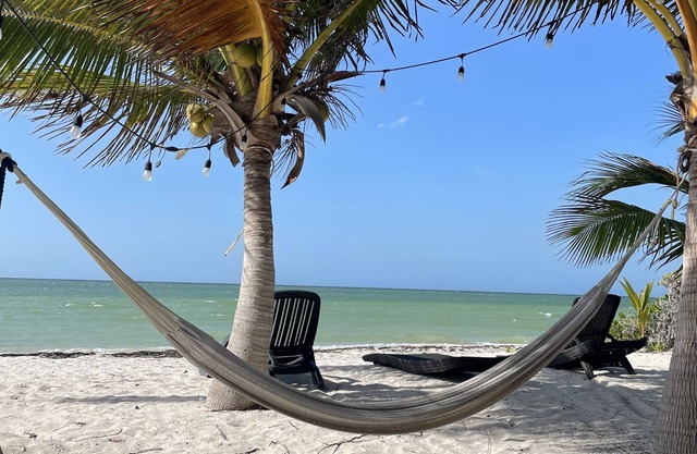 Amazing Beach Waterfront Penthouse