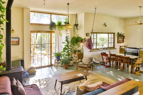 Amazing Hemp house in the middle of an oak forest