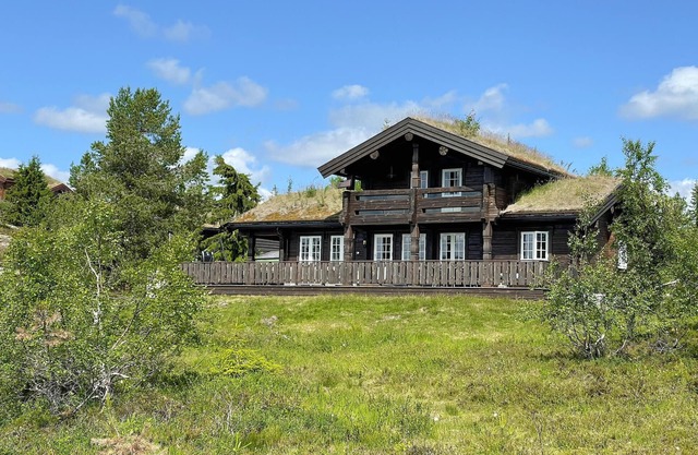 Amazing home in Nissedal with lake view