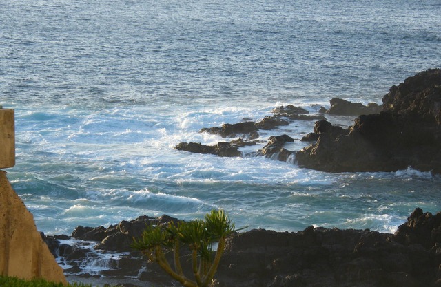 Amazing SEA VIEW APARTMENT WITH GARDEN, Great Oportunity, Special offer
