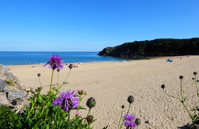 Amazing Sea Views, walk to the beach. Dog Friendly.