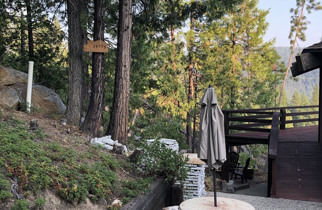 Amazing tree house with magical view!