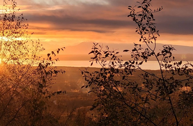 Amazing Views - Ocean & Mountains! Chef's Kitchen, Sauna, Work from Home!